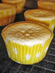 doublylemoncupcakes1