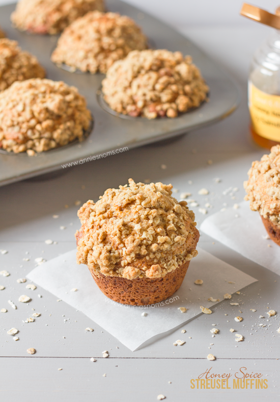 Honey Spice Streusel Muffins | Annie's Noms - These Honey Spice Streusel Muffins are just perfect for your breakfast! Soft, sweet and spicy with the added crunch of a streusel topping. Yoghurt makes these muffins tender and soft, whilst the honey sweetens and adds a tang which is perfectly complimented by the spices; an Autumnal taste sensation!