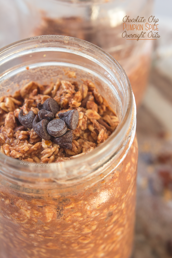 Chocolate Chip Pumpkin Spice Overnight Oats | Annie's Noms - These Chocolate Chip Pumpkin Spice Overnight Oats combine rich cocoa, pumpkin and spices to create a no-cook breakfast which will leave you totally satisfied and wanting more!