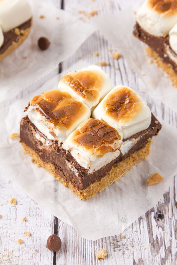 These divine No-Bake S'mores Bars are just perfect for super hot days! Layers of crushed biscuits, melted chocolate and fluffy marshmallows toasted and then set in the fridge before being sliced into bars; even the kids can get involved!