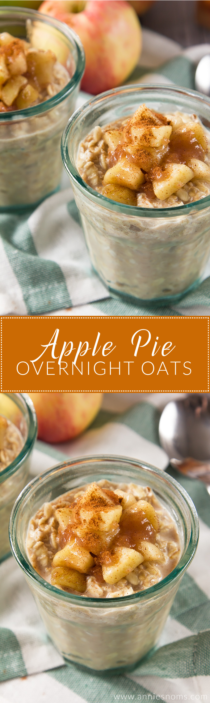 Apple Pie Chaga Overnight Oats fynlbel apple-pie-oats-collage