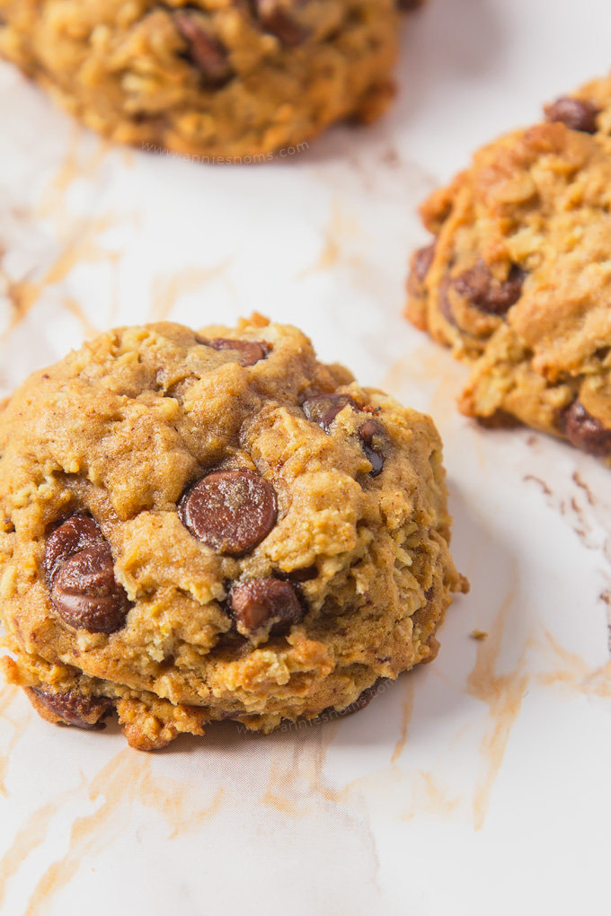 These Pumpkin Chocolate Chip Oatmeal Cookies are soft, chewy, spicy, more-ish and full of oozing chocolate chips.
