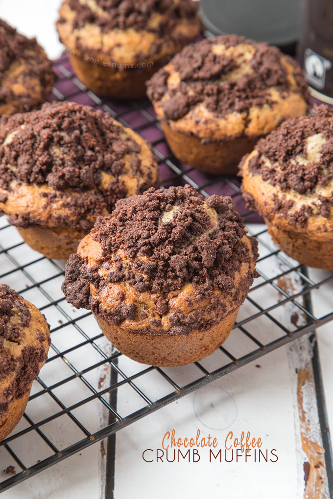 Chocolate Coffee Crumb Muffins Annie's Noms