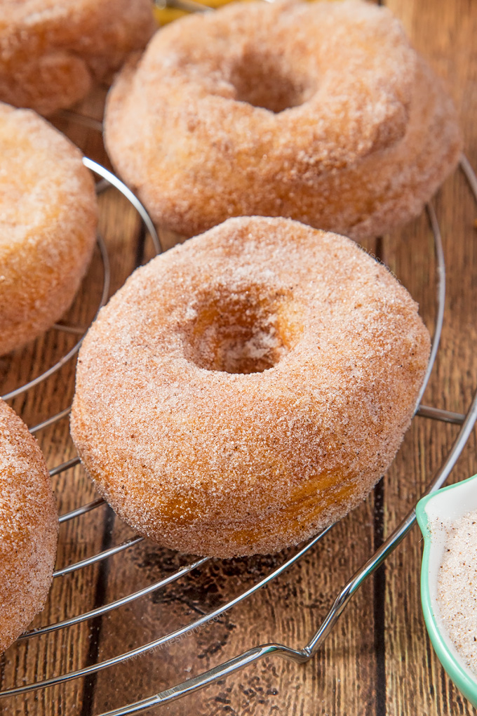 These perfectly golden, flaky Pumpkin Spice Croissant Doughnuts are ridiculously easy to make and utterly divine. Got 30 minutes? Then you have time to make these!