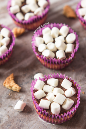 Mini S'mores Cheesecakes