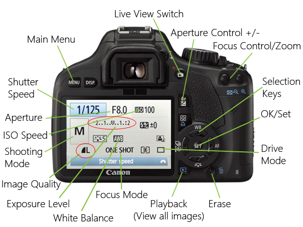 Photography SOS - Getting to know your camera controls | Annie's Noms