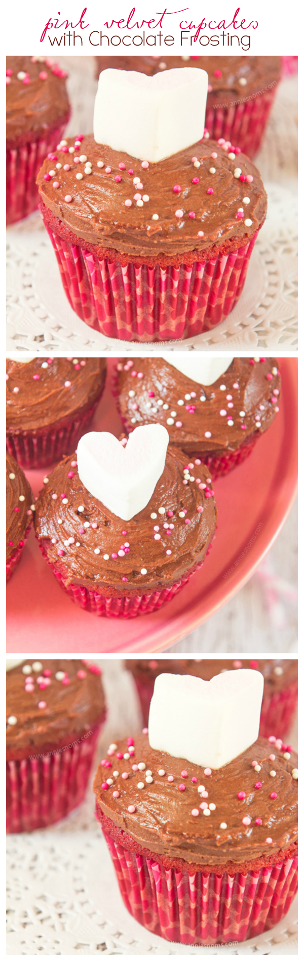 These Pink Velvet Cupcakes are not quite chocolate and not quite vanilla, but they are absolutely delicious! Soft, tender and topped with a rich, melted chocolate frosting; these are the perfect, simple dessert to make for your Valentine!