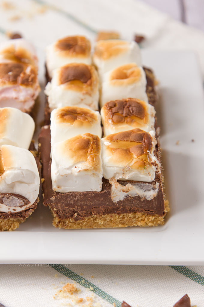 These divine No-Bake S'mores Bars are just perfect for super hot days! Layers of crushed biscuits, melted chocolate and fluffy marshmallows toasted and then set in the fridge before being sliced into bars; even the kids can get involved!