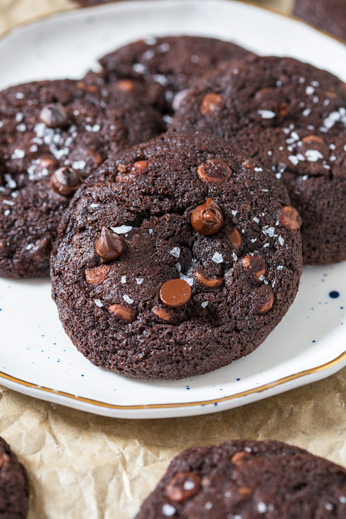 These Salted Double Chocolate Cookies marry sweet and salty together perfectly in one fudgy, soft cookie. With cocoa powder AND milk chocolate chips, you are bound to fall head over heels for these!