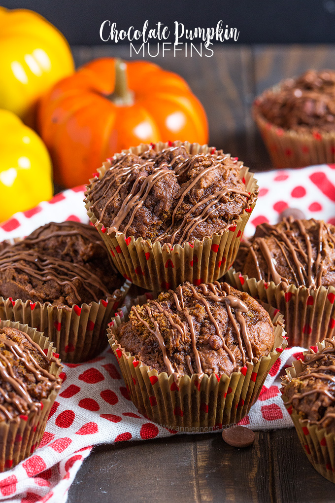 These hearty Chocolate Pumpkin Muffins are the perfect way to start your day. Lightly spiced and filled with melty chocolate chips, they are simply delicious!