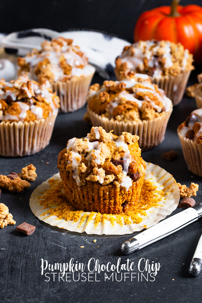 These Pumpkin Chocolate Chip Muffins are topped with a crunchy oat mixture and baked to create a soft, spiced muffin peppered with chocolate with a crunchy streusel top!