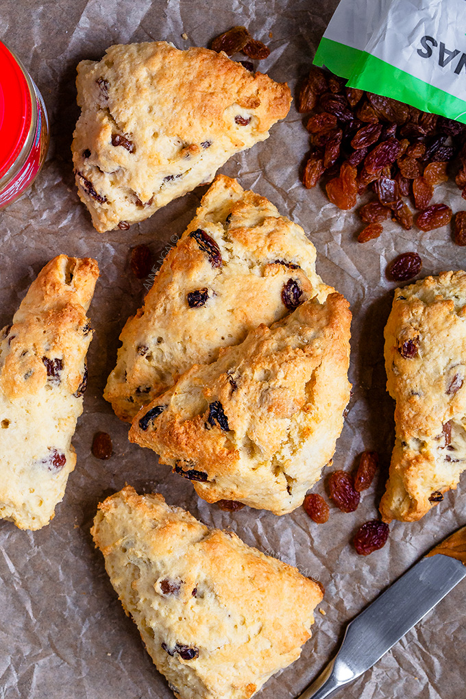 These Sourdough Sultana Scones are packed full of fruit and made with a cup of sourdough starter to give a tangy, earthy flavour. Flaky, buttery and easy to make, they're bound to become a family favourite!
